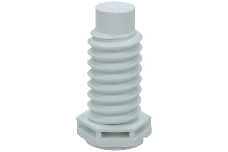 C00312250 foot